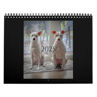 Pannenkoek en milkshake, gemiddelde kalender