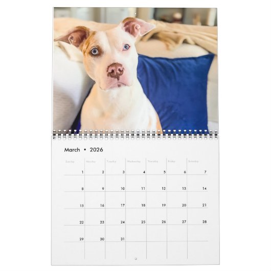 Pannenkoek en milkshake, gemiddelde kalender (Mar 2026)