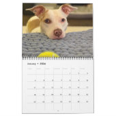 Pannenkoek en milkshake, gemiddelde kalender (Jan 2026)