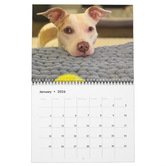 Pannenkoek en milkshake, gemiddelde kalender (Jan 2026)