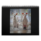 Pannenkoek en milkshake, gemiddelde kalender (Hoes)