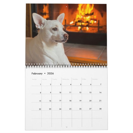 Pannenkoek en milkshake, gemiddelde kalender (Feb 2026)