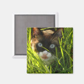 Pannenkoekenmagneet Magneet (Voorkant / Achterkant)