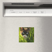 Pannenkoekenmagneet Magneet (Insitu (Vaatwasser))