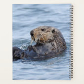 Panner van otter planner (Achterkant)