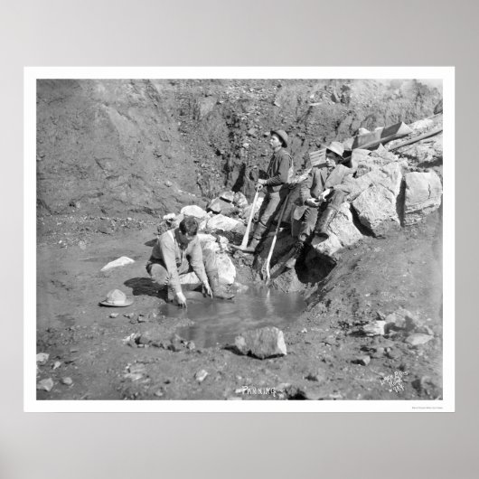 Panning voor Gold Alaska 1902 Poster (Voorkant)