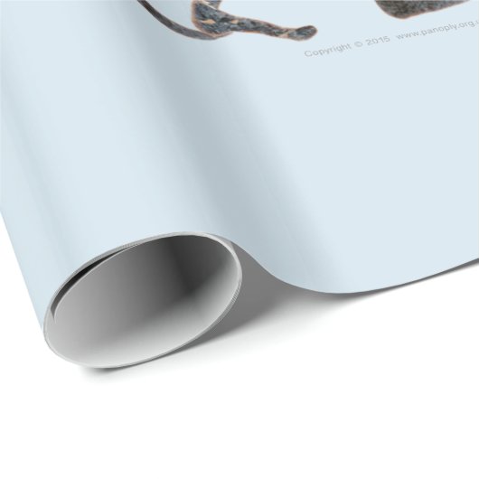 Panoply - Oude Griekse hopbellen onderweg Cadeaupapier (Rol Hoek)