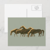 Panoply - Oude Griekse vaskunsten van paarden Briefkaart (Voorkant / Achterkant)