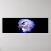 Panorama American Bald Eagle Poster Print (Voorkant)