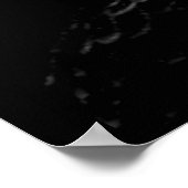 Panorama Eagle American Eagle Poster Print (Hoek)