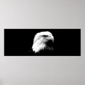 Panorama Eagle American Eagle Poster Print (Voorkant)