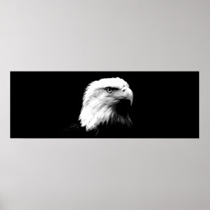 Panorama Eagle American Eagle Poster Print