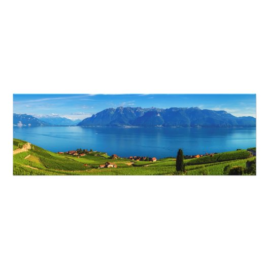 Panorama on Lavaux, Vaud, Zwitserland Foto Afdruk (Voorkant)