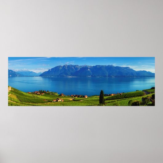 Panorama on Lavaux, Vaud, Zwitserland Poster (Voorkant)