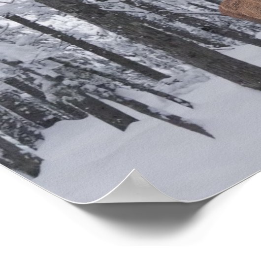 Panorama Poster (Hoek)