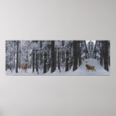 Panorama Poster (Voorkant)