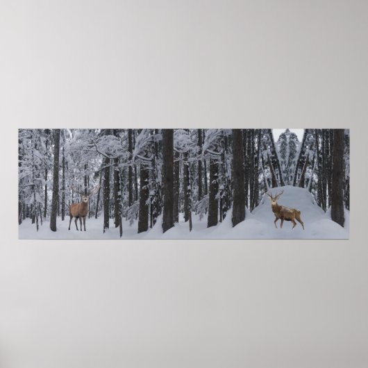 Panorama Poster (Voorkant)