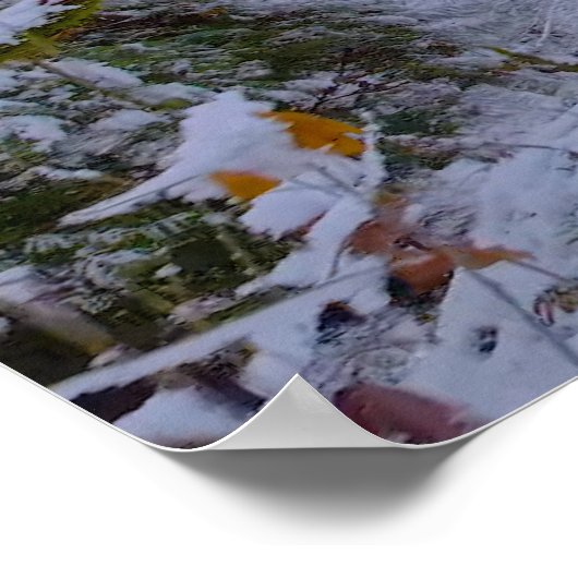 Panorama Poster (Hoek)