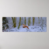 Panorama Poster (Voorkant)