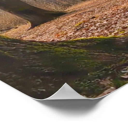 Panorama Poster (Hoek)
