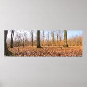 Panorama Poster (Voorkant)