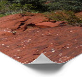 Panorama van de Rode Rocks in Sedona Arizona Poster (Hoek)