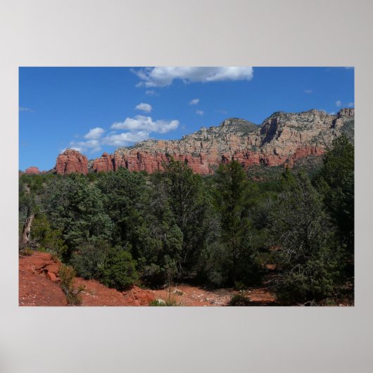 Panorama van de Rode Rocks in Sedona Arizona Poster (Voorkant)