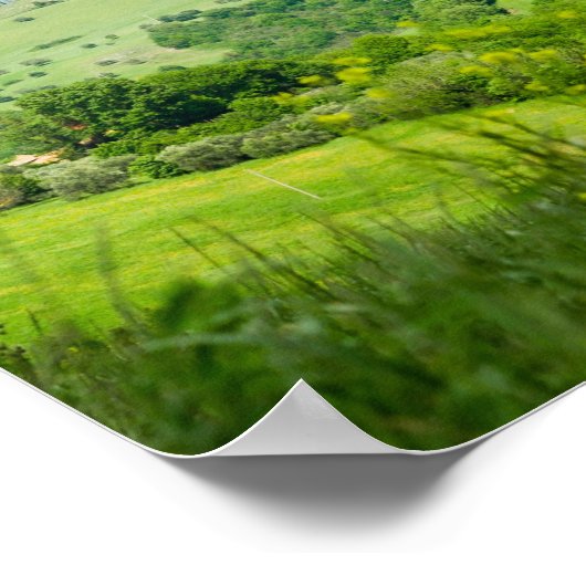 Panorama van het Poster van het Toscaanse landscha (Hoek)