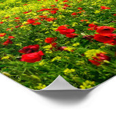 Panorama van het Poster van het Toscaanse landscha (Hoek)