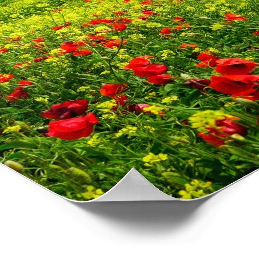 Panorama van het Poster van het Toscaanse landscha (Hoek)