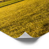 Panorama van het Poster van het Toscaanse landscha (Hoek)