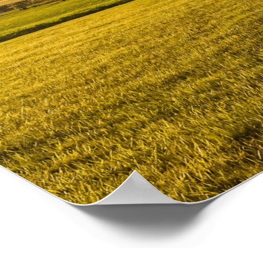 Panorama van het Poster van het Toscaanse landscha (Hoek)