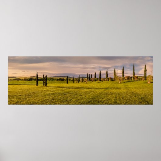 Panorama van het Poster van het Toscaanse landscha (Voorkant)