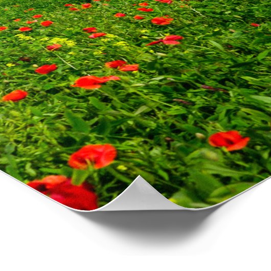 Panorama van het Poster van het Toscaanse landscha (Hoek)