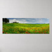 Panorama van het Poster van het Toscaanse landscha (Voorkant)