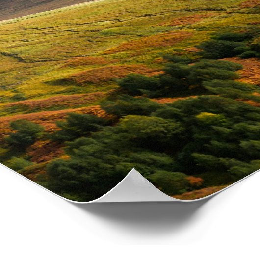 Panorama van het Schotse hoogland-Poster Poster (Hoek)