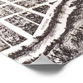 Panoramiek Reno 1907 Poster (Hoek)