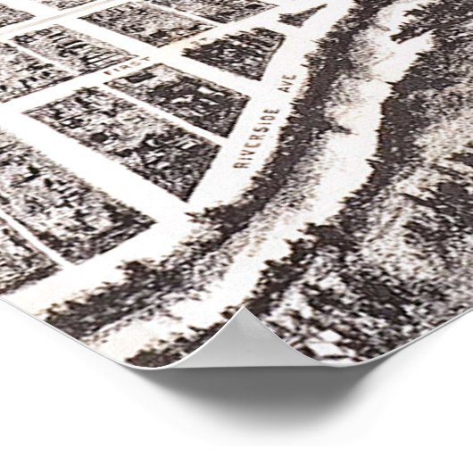 Panoramiek Reno 1907 Poster (Hoek)