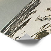 Panoramisch besneeuwd Andes bergen landschap, Ushu Poster (Hoek)