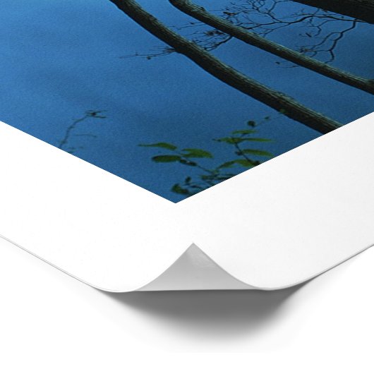 Panoramisch bos en rivierlandschap poster (Hoek)