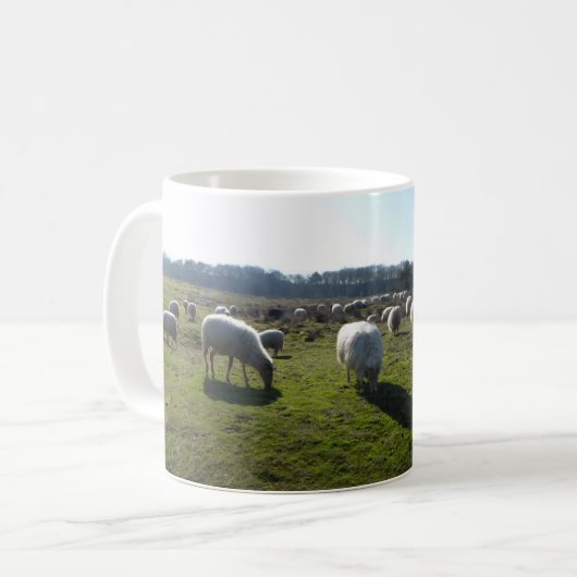 Panoramisch Heathland met Mok van schapen (Voorkant links)