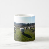 Panoramisch Heathland met Mok van schapen (Center)