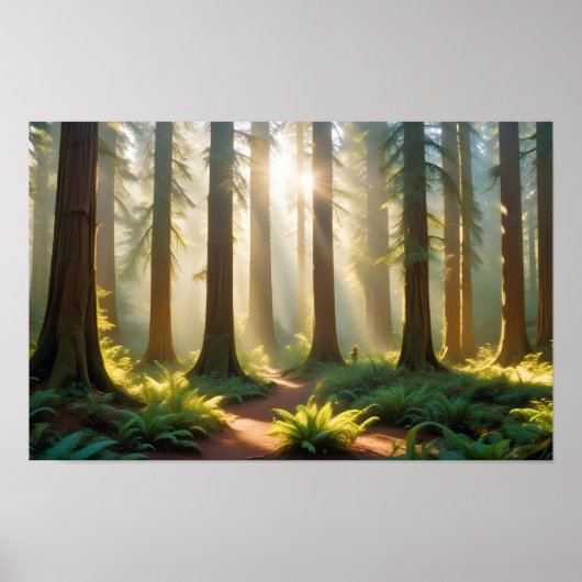 Panoramisch Landschap Bos Natuur Rustig landschap Poster (Voorkant)