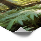 Panoramisch Landschap Forest Pathway Natuur rustig Poster (Hoek)