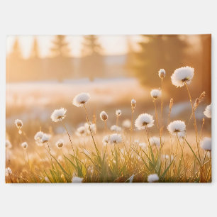 Panoramisch Landschap Meadow Natuur Rustig landsch Magneet