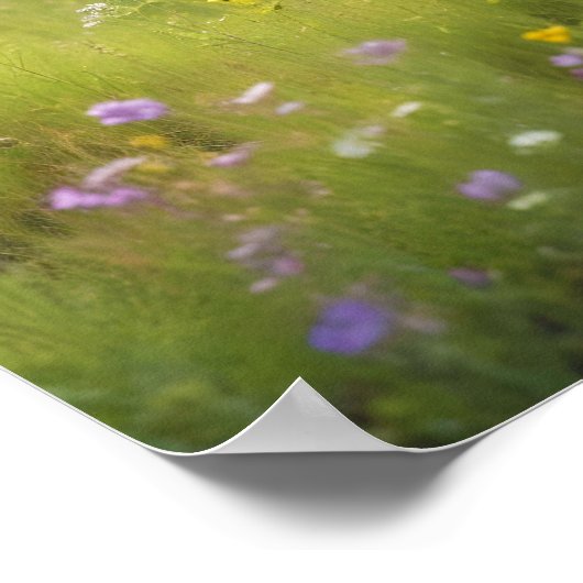 Panoramisch Landschap Meadow Natuur Rustig landsch Poster (Hoek)