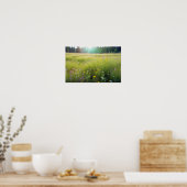 Panoramisch Landschap Meadow Natuur Rustig landsch Poster (Keuken)