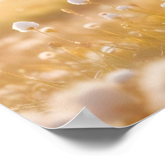 Panoramisch Landschap Meadow Natuur Rustig landsch Poster (Hoek)