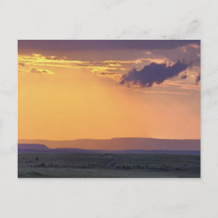 Panoramisch uitzicht op een enkele acacia bij briefkaart