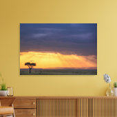 Panoramisch uitzicht op gier en acaciaboom canvas afdruk (Insitu (Woonkamer))